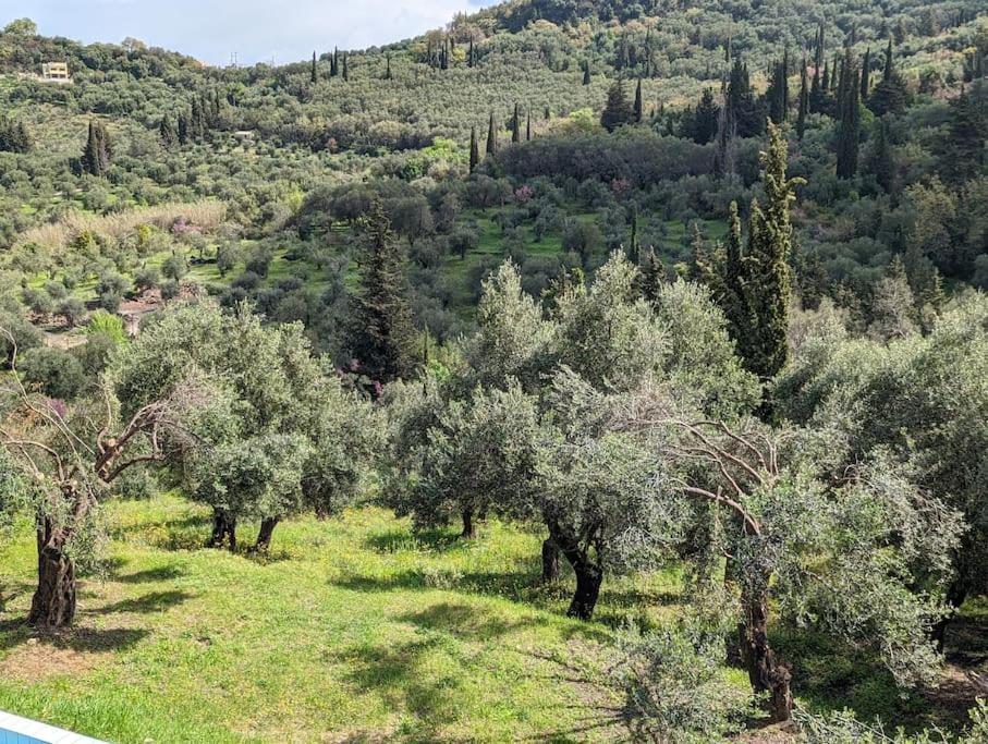 Villa Eleonas Strongyli  Dış mekan fotoğraf