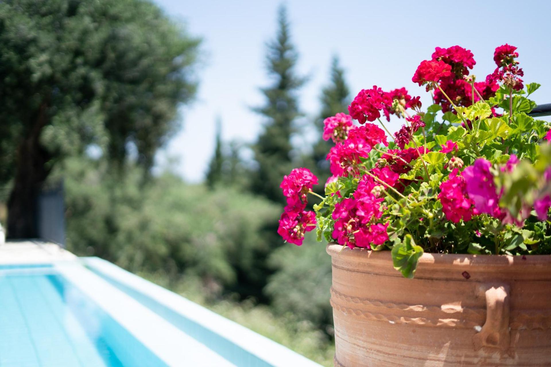 Villa Eleonas Strongyli  Dış mekan fotoğraf